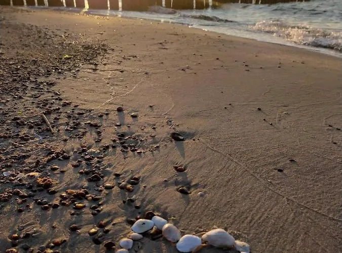 Sloneczna Sarbinowka Апартаменты