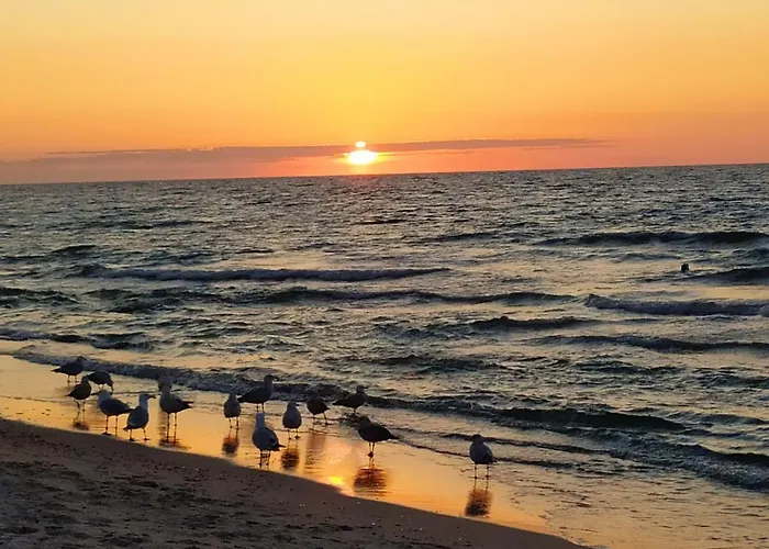 Sloneczna Sarbinowka Апартаменты Сарбиново